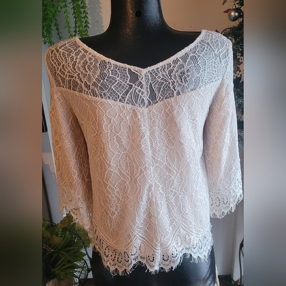 Ella Moss White Lace Cropped Sleeve Top S - Picture 6 of 7
